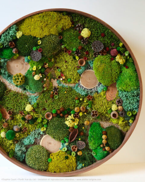 foret-vue-du-ciel-vegetaux-stabilisés-le-cabanon-du-cerf-origine-atelier-floral-sophie-court