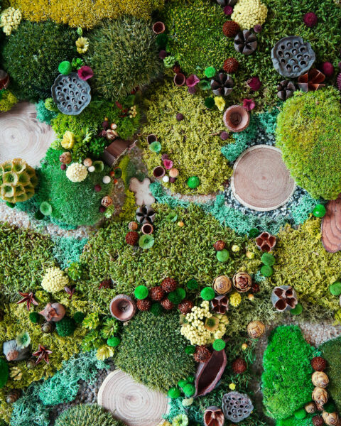 foret-vue-du-ciel-vegetaux-stabilisés-le-cabanon-du-cerf-origine-atelier-floral-sophie-court