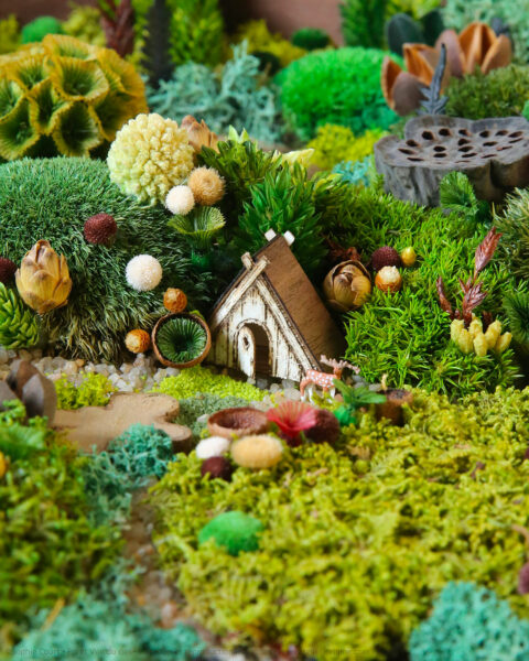 foret-vue-du-ciel-vegetaux-stabilisés-le-cabanon-du-cerf-origine-atelier-floral-sophie-court