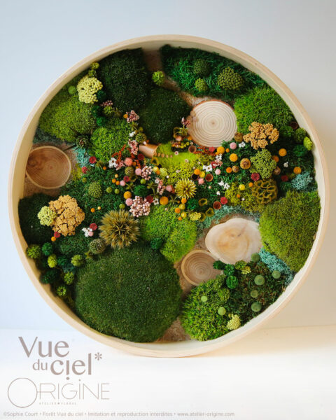 tableau-végatal-foret-vue-du-ciel-origine-atelier-floral-sophie-court