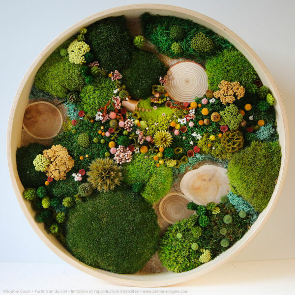 tableau-végatal-foret-vue-du-ciel-origine-atelier-floral-sophie-court