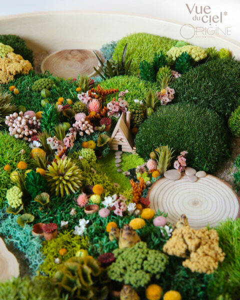 tableau-végatal-foret-vue-du-ciel-origine-atelier-floral-sophie-court