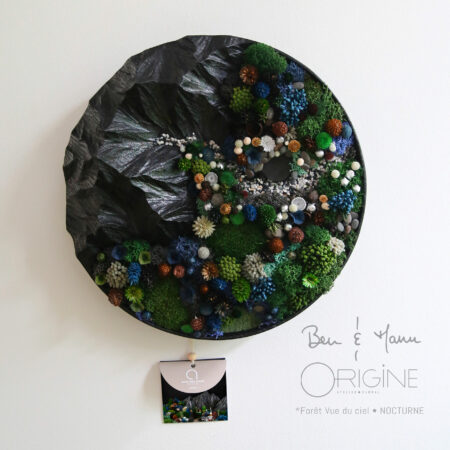 4foret-vue-du-ciel-tableau-végétal-collaboration-ben-et-manu-origine-atelier-floral-collection-nocturne1