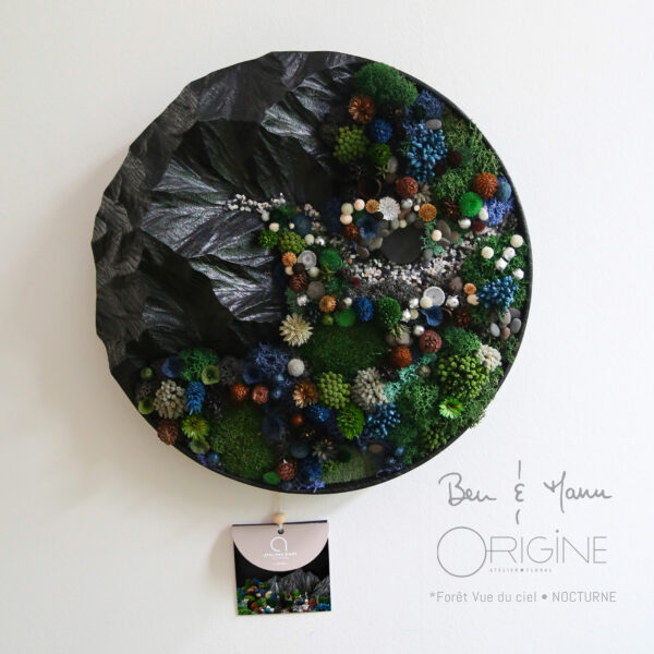 4foret-vue-du-ciel-tableau-végétal-collaboration-ben-et-manu-origine-atelier-floral-collection-nocturne1