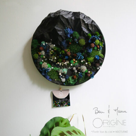4foret-vue-du-ciel-tableau-végétal-collaboration-ben-et-manu-origine-atelier-floral-collection-nocturne1