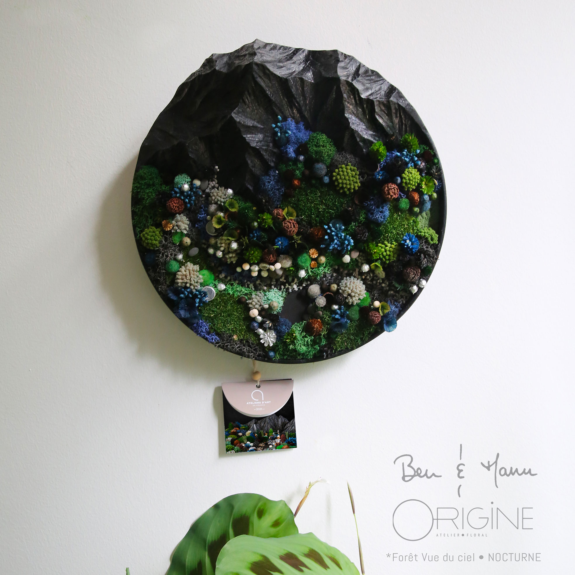 4foret-vue-du-ciel-tableau-végétal-collaboration-ben-et-manu-origine-atelier-floral-collection-nocturne1