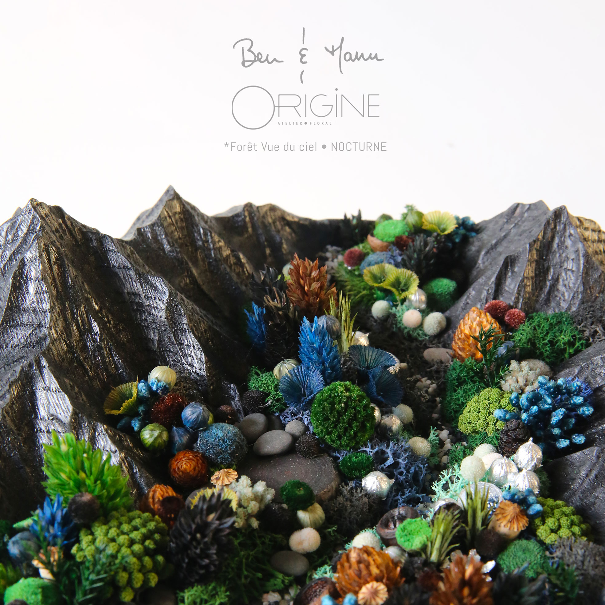 4foret-vue-du-ciel-tableau-végétal-collaboration-ben-et-manu-origine-atelier-floral-collection-nocturne1