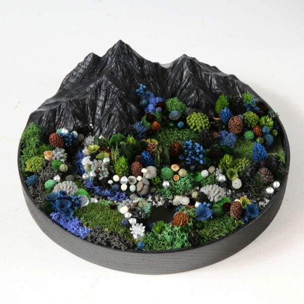 foret vue du ciel tableau végétal collaboration ben et manu origine atelier floral collection nocturne.41