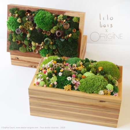 coffret luxe bois et végétaux origine atelier floral lilobois3