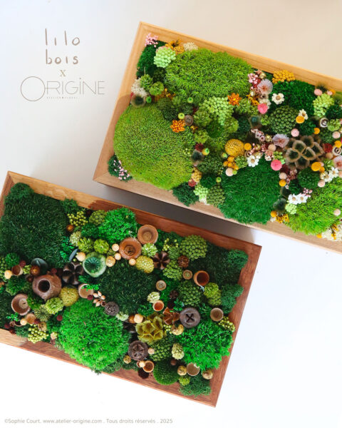coffret-luxe-bois-et-végétaux-origine-atelier-floral-lilobois