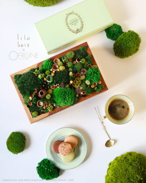 coffret-luxe-bois-vegetaux-stabilisés-lilobois-origine-atelier-floral-macaron-ladurée-sophie-court