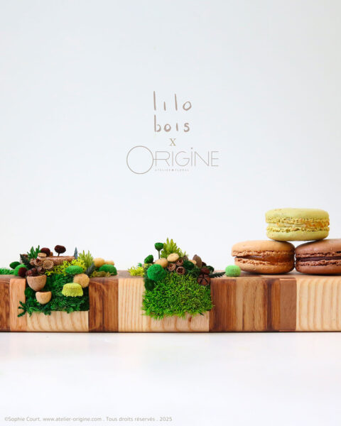 coffret-luxe-bois-vegetaux-stabilisés-lilobois-origine-atelier-floral-macaron-ladurée-sophie-court
