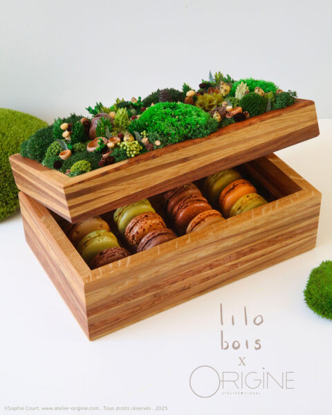 coffret-luxe-bois-vegetaux-stabilisés-lilobois-origine-atelier-floral-macaron-ladurée-sophie-court