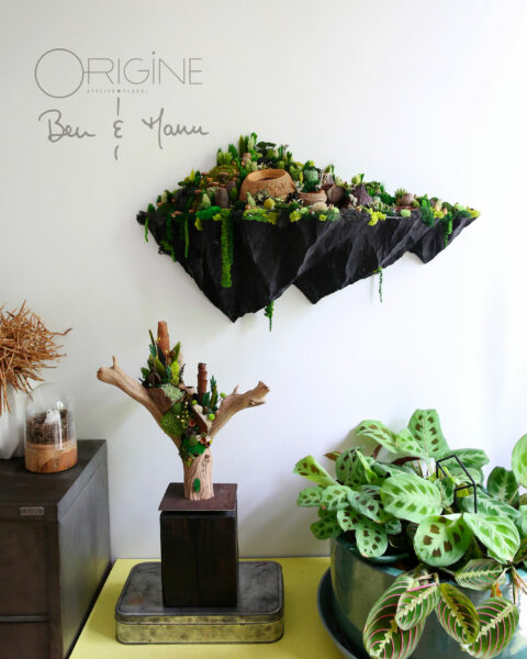 étagere-murale-décorative-végétale-ben-et-manu-origine-atelier-floral-ile-flotante