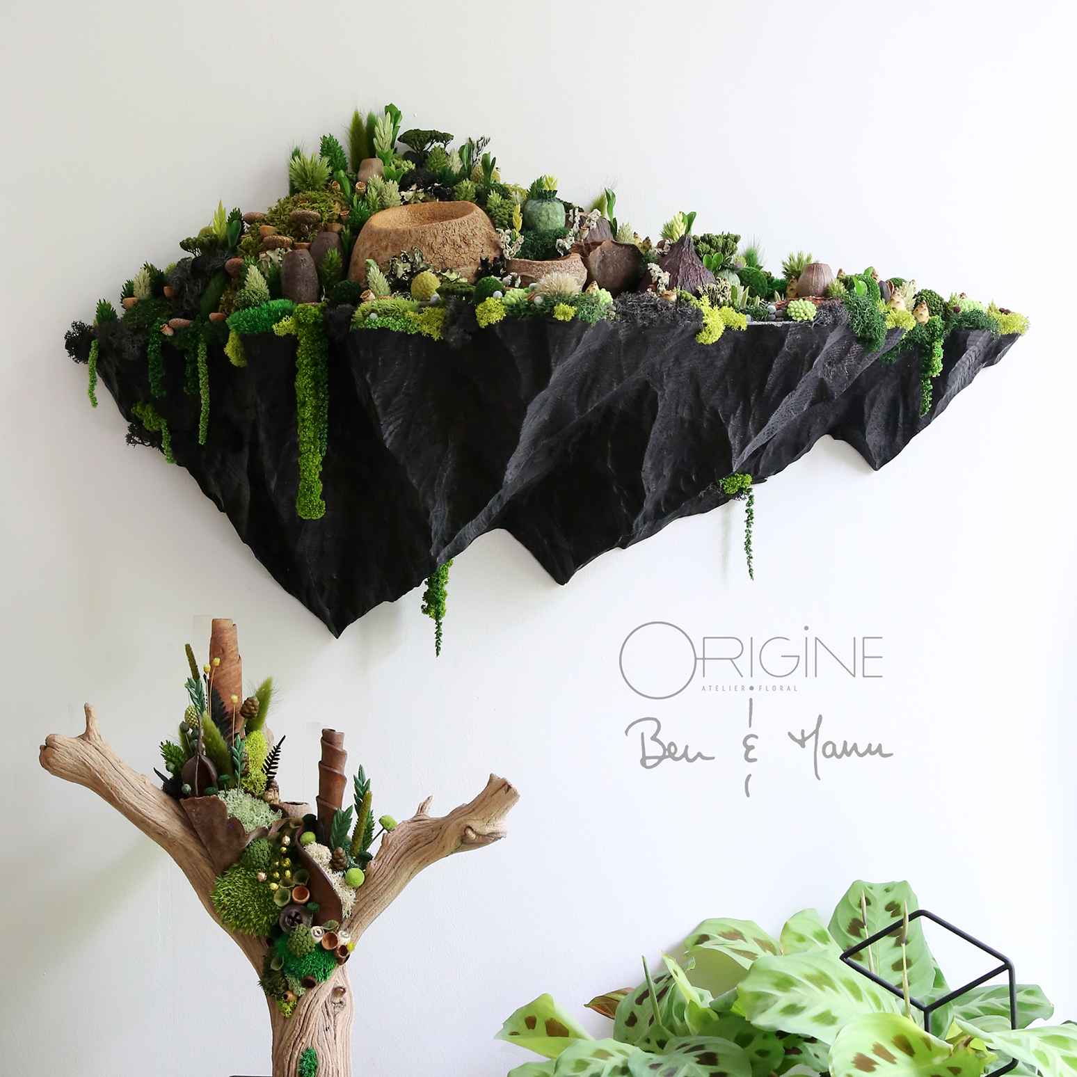 collab-origine-atelier-floral-ben-et-manu-suspensions-végétales9