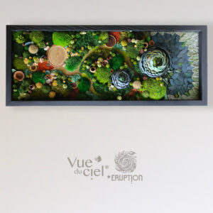 tableau-végétal-foret-vue-du-ciel-leaf-eruption-origine-atelier-floral-sophie-court.2