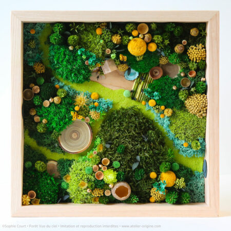Forêt Vue du ciel • 30 X 30 cm • Le refuge du solitaire