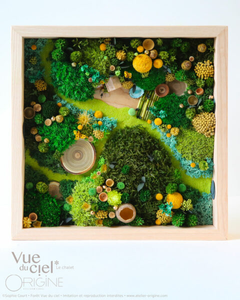foret vue du ciel vegetaux stabilisés cabane du chasseur origine atelier floral sophie court