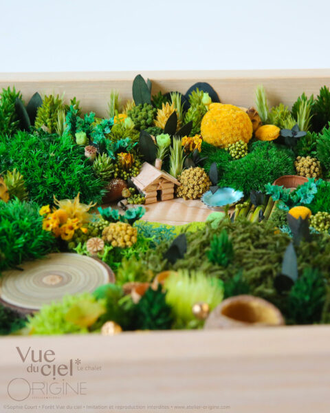 foret vue du ciel vegetaux stabilisés cabane du chasseur origine atelier floral sophie court