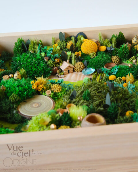 foret vue du ciel vegetaux stabilisés cabane du chasseur origine atelier floral sophie court