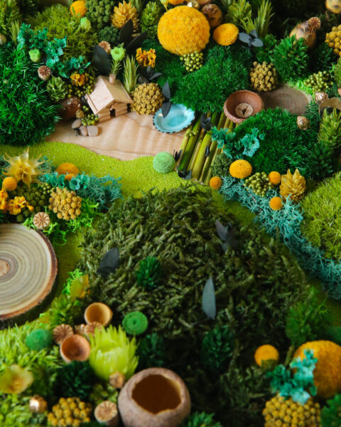 foret vue du ciel vegetaux stabilisés cabane du chasseur origine atelier floral sophie court