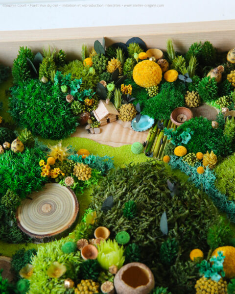 foret vue du ciel vegetaux stabilisés cabane du chasseur origine atelier floral sophie court
