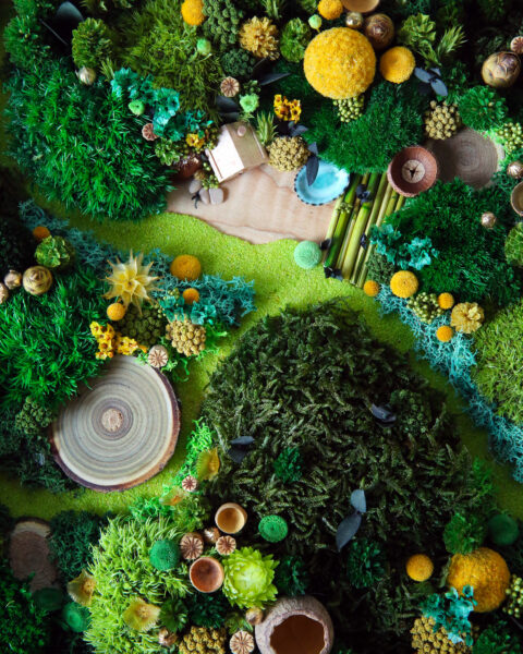 foret vue du ciel vegetaux stabilisés cabane du chasseur origine atelier floral sophie court