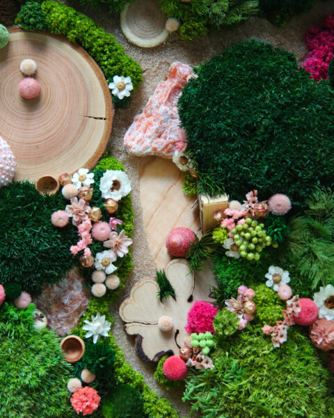 foret vue du ciel vegetaux stabilisés mineraux le jardin de la fée origine atelier floral sophie court
