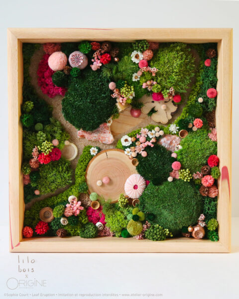 foret vue du ciel vegetaux stabilisés mineraux le jardin de la fée origine atelier floral sophie court