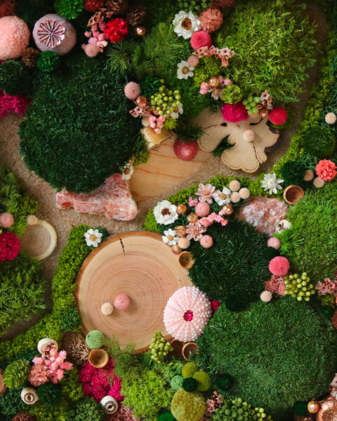 foret vue du ciel vegetaux stabilisés mineraux le jardin de la fée origine atelier floral sophie court