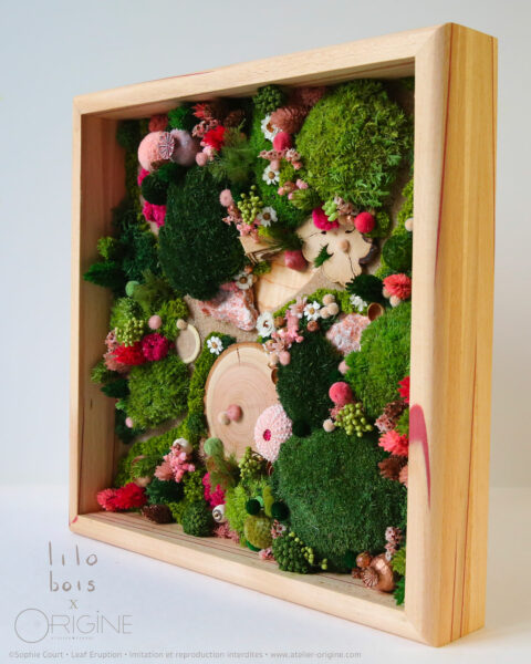 foret vue du ciel vegetaux stabilisés mineraux le jardin de la fée origine atelier floral sophie court