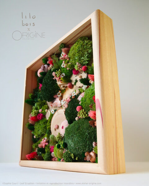 foret vue du ciel vegetaux stabilisés mineraux le jardin de la fée origine atelier floral sophie court