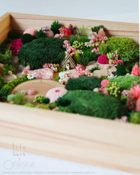 foret vue du ciel vegetaux stabilisés mineraux le jardin de la fée origine atelier floral sophie court