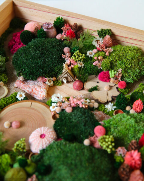 foret vue du ciel vegetaux stabilisés mineraux le jardin de la fée origine atelier floral sophie court