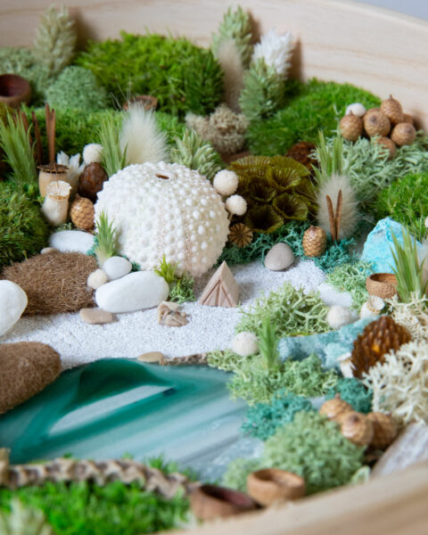 foret vue du ciel vegetaux stabilisés mineraux le lagon origine atelier flora6