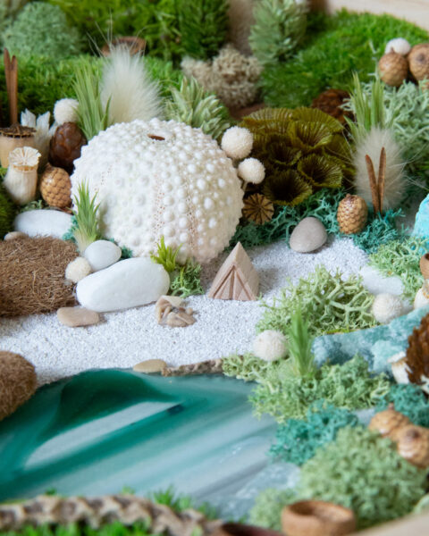 foret vue du ciel vegetaux stabilisés mineraux le lagon origine atelier flora6