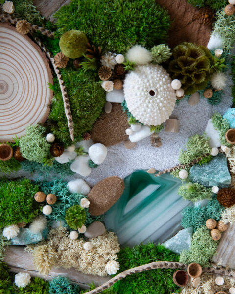 foret vue du ciel vegetaux stabilisés mineraux le lagon origine atelier flora6