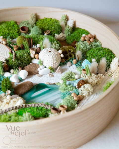 foret vue du ciel vegetaux stabilisés mineraux le lagon origine atelier flora6