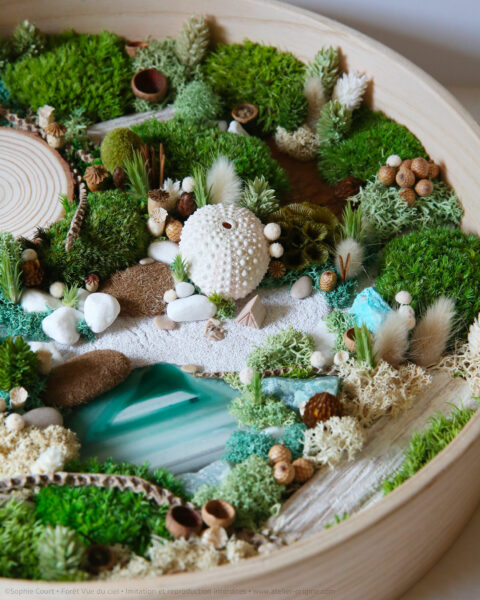 foret vue du ciel vegetaux stabilisés mineraux le lagon origine atelier flora6