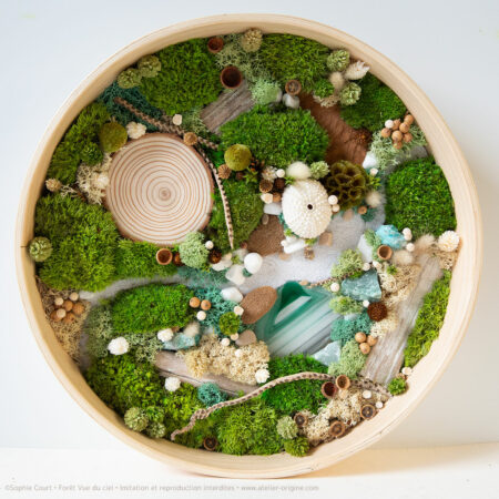 foret-vue-du-ciel-vegetaux-stabilisés-mineraux-le-lagon-origine-atelier-floral4