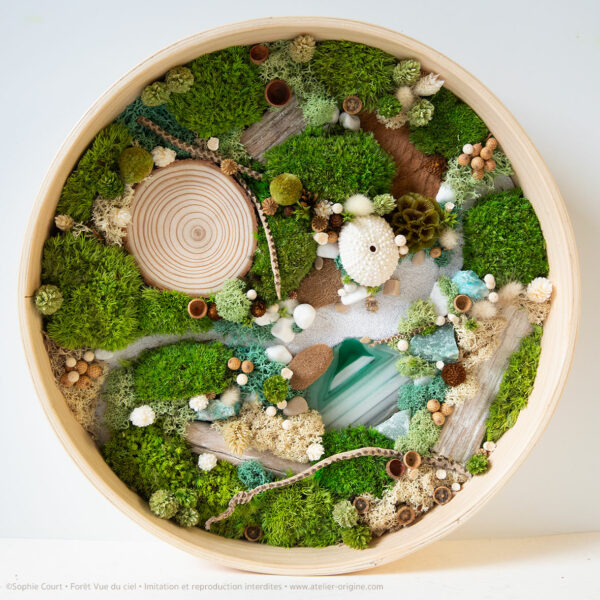 foret-vue-du-ciel-vegetaux-stabilisés-mineraux-le-lagon-origine-atelier-floral4