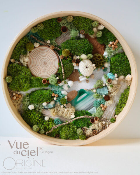 foret vue du ciel vegetaux stabilisés mineraux le lagon origine atelier flora6