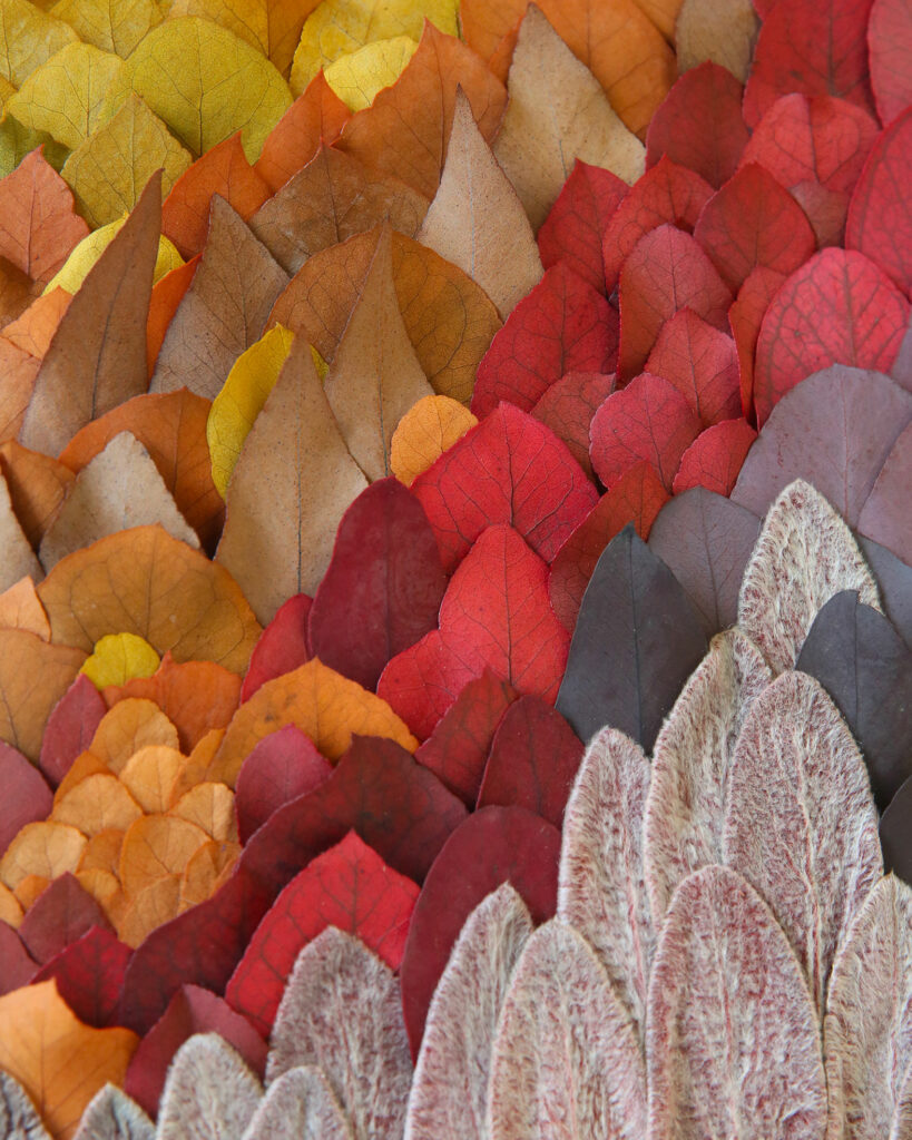 leaf forest tableau vegetal origine atelier floral.1