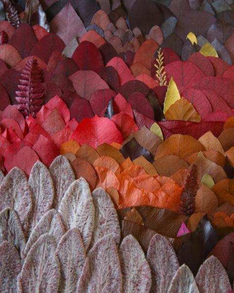 leaf forest tableau vegetal origine atelier floral.1