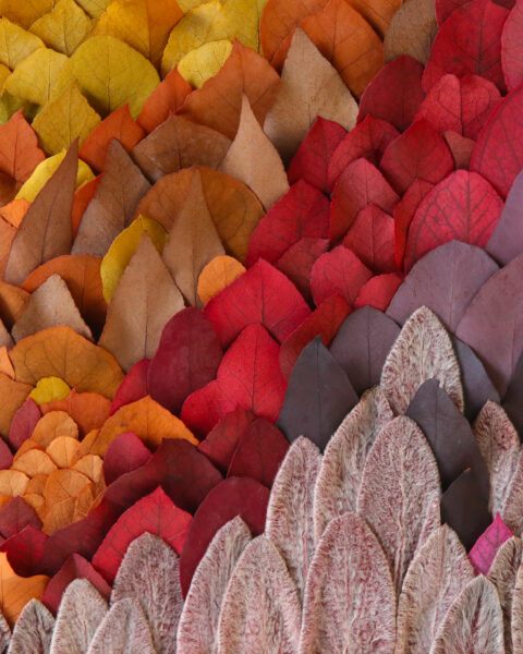 leaf forest tableau vegetal origine atelier floral.1