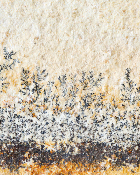 pierre-mineral-dendrite-cadre-en-chene-origine-atelier-floral.2