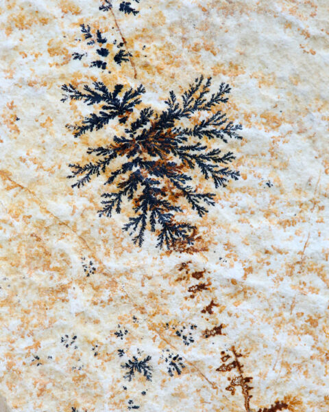 pierre-mineral-dendrite-cadre-en-chene-origine-atelier-floral.2