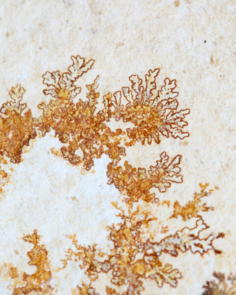 pierre-mineral-dendrite-cadre-en-chene-origine-atelier-floral.2