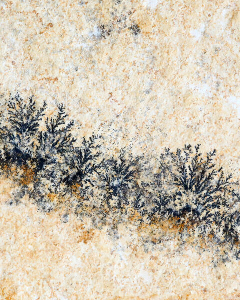 pierre-mineral-dendrite-cadre-en-chene-origine-atelier-floral.2