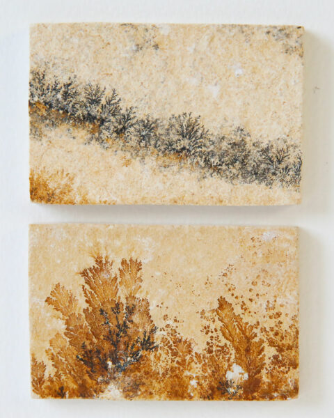 pierre-mineral-dendrite-cadre-en-chene-origine-atelier-floral.2
